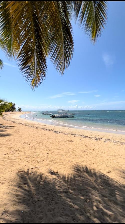 Lovely Beachfront 2 Bedrooms Condo With 2 Pools 라스테레나스 외부 사진